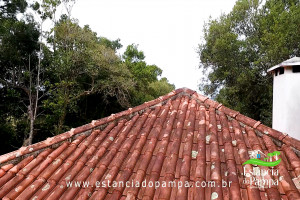 450 HA NO RS.00_05_08_05.Quadro032_19ffe3a6e6b34315aeb58737cc9345f82f9b5d9b.jpg